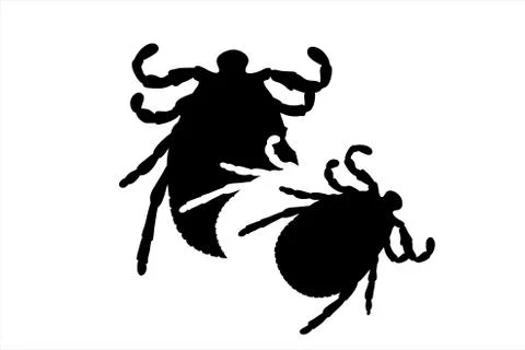 Vector silhouette of tick. Symbol of insect. 스톡 일러스트