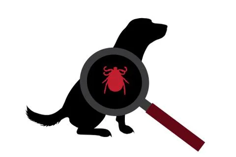 Vector silhouette of tick under magnifying glass sitting on dog on white back Illustration