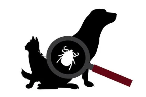 Vector silhouette of tick under magnifying glass sitting on dog and cat on wh Stock-Illustration
