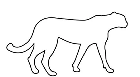 Vector silhouette of tiger logo on white background. Stock Illustration