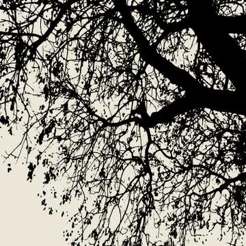 Vector silhouette of a tree branch.Template for decoration Stock Illustration