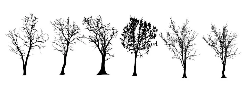 Vector silhouette of tree. Stock Illustration