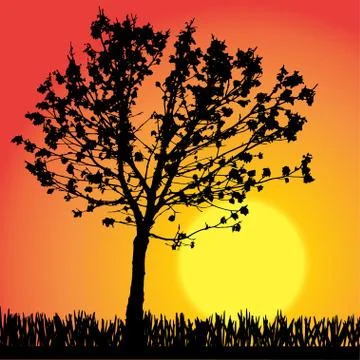 Vector silhouette of tree. Stock Illustration