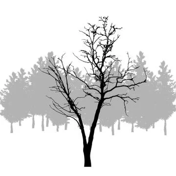 Vector silhouette of tree on white background. Illustrazione stock