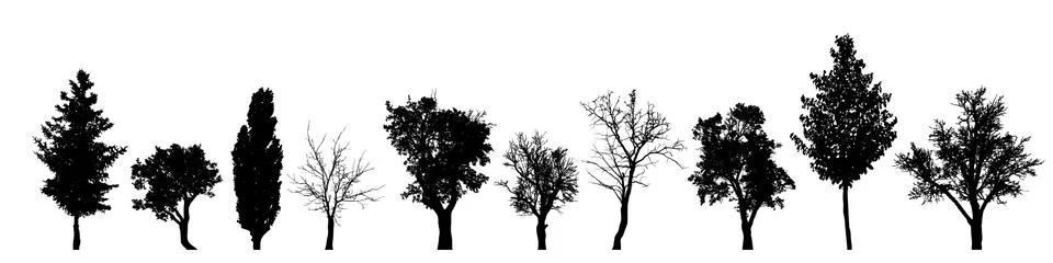 Vector silhouette of tree on white background. Stock Illustration