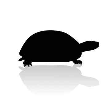 Vector silhouette of turtle on white background.Symbol of animal and nature. Stock Illustration