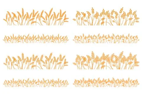 Vector silhouette of wheat. Set. Wheat in a field on a white background Stock Illustration