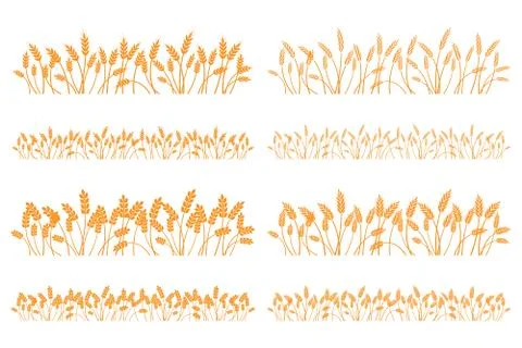 Vector silhouette of wheat. Set. Wheat in a field on a white background Stock Illustration