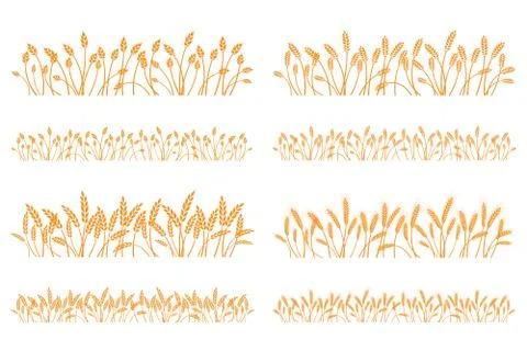 Vector silhouette of wheat. Set. Wheat in a field on a white background Stock Illustration