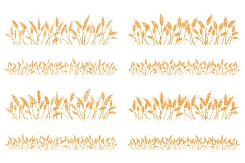 Vector silhouette of wheat. Set. Wheat in a field on a white background Stock Illustration