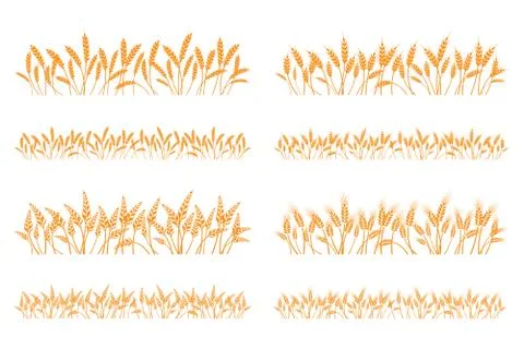 Vector silhouette of wheat. Set. Wheat in a field on a white background Stock Illustration