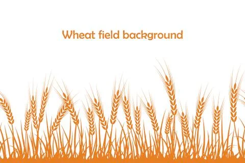 Vector silhouette of wheat. Wheat in the field on a white background Stock Illustration