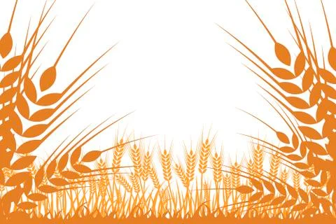 Vector silhouette of wheat. Wheat in the field on a white background Stock Illustration