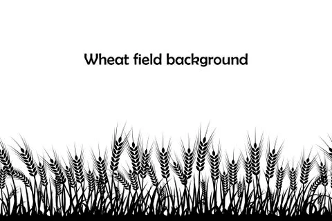 Vector silhouette of wheat. Wheat in the field on a white background Stock Illustration