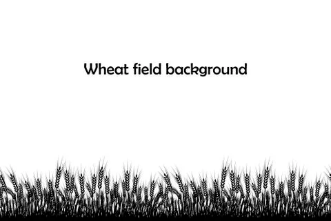 Vector silhouette of wheat. Wheat in the field on a white background Stock Illustration