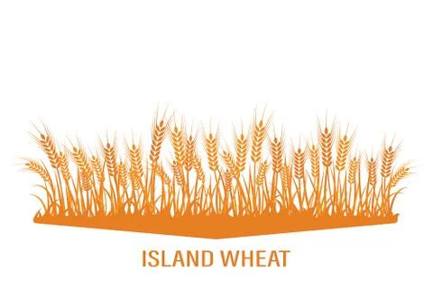 Vector silhouette of wheat. Wheat in the field on a white background Stock Illustration