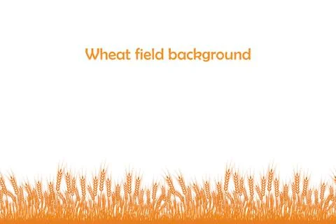 Vector silhouette of wheat. Wheat in the field on a white background Stock Illustration