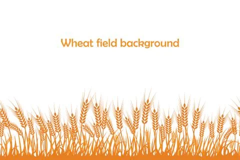 Vector silhouette of wheat. Wheat in the field on a white background Stock Illustration