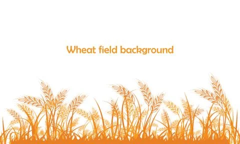 Vector silhouette of wheat. Wheat in the field on a white Stock Illustration