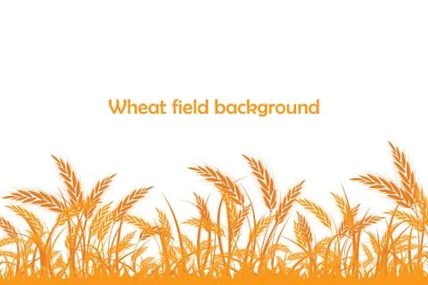 Vector silhouette of wheat. Wheat in the field Stock Illustration