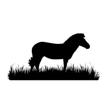 Vector silhouette of zebra in the grass on white background. Symbol of animal Illustrazione stock