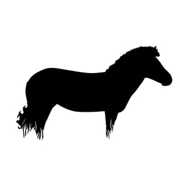 Vector silhouette of zebra in the grass on white background. Symbol of animal イラスト素材