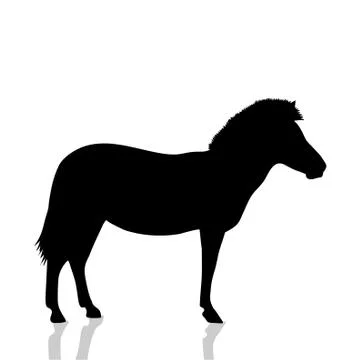 Vector silhouette of zebra on white background. Stock Illustration