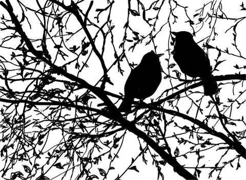 Vector silhouettes of birds at branch tree Stock Illustration