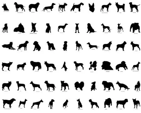 Vector silhouettes of  dogs Stock Illustration