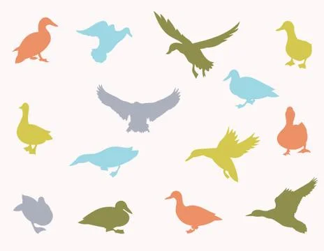 Vector silhouettes of ducks. Stock Illustration