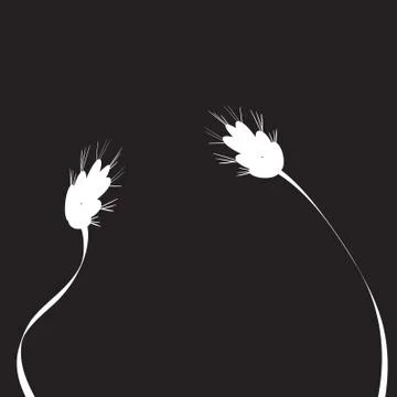 Vector silhouettes of flowers. Stock Illustration