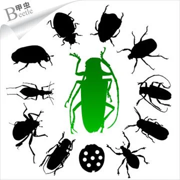 Vector Silhouettes of insects isolated-Beetles Stock Illustration