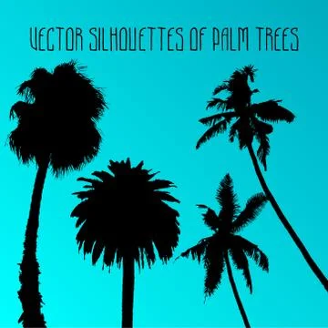 Vector silhouettes of palm trees on turquoise background Stock Illustration