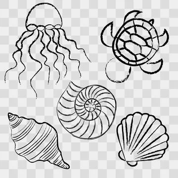 Vector silhouettes of see animals shell jellyfish turtle black pencil イラスト素材