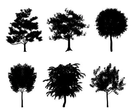 Vector silhouettes of trees for the background and architectural Stock Illustration