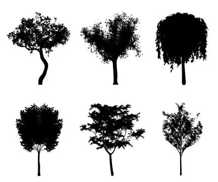 Vector silhouettes of trees for the background and architectural Stock-Illustration