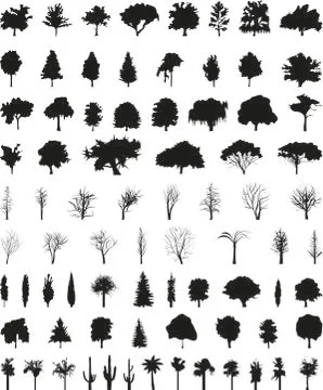 Vector silhouettes of the trees Stock Illustration