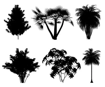Vector silhouettes of tropical trees and bushes for backgrounds Stock Illustration