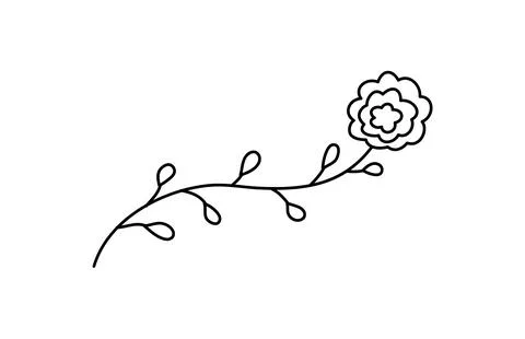 Vector simple hand drawn flower botanical illustration. Line artwork, minimal 스톡 일러스트
