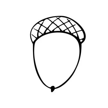 Vector simple hand drawn illustration of a acorn isolated on white background Stock Illustration