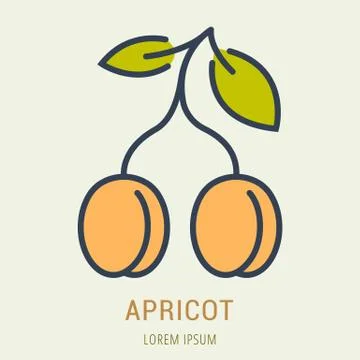 Vector Simple Logo Template Apricot Free Stock Illustration
