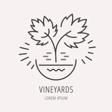 Vector Simple Logo Template Plant Grapes Stock Illustration