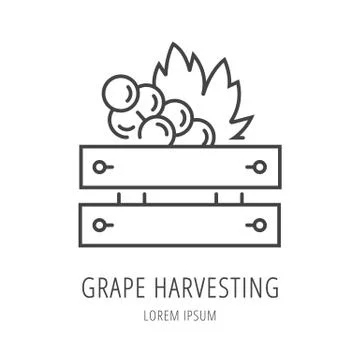 Vector Simple Logo Template Wine Harvesting Stock Illustration
