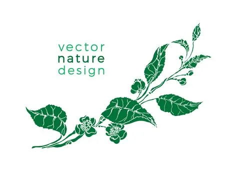 Vector simple template. Green branch of tea tree, bush, leaves, flower. Ornat Stock Illustration