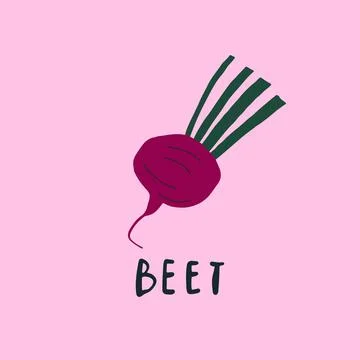 Vector simplified beet drawing, handwritten word Stock Illustration