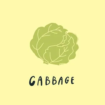 Vector simplified cabbage drawing, handwritten word Stock Illustration