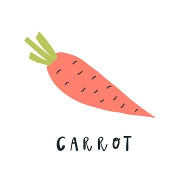 Vector simplified carrot drawing, handwritten word Stock Illustration