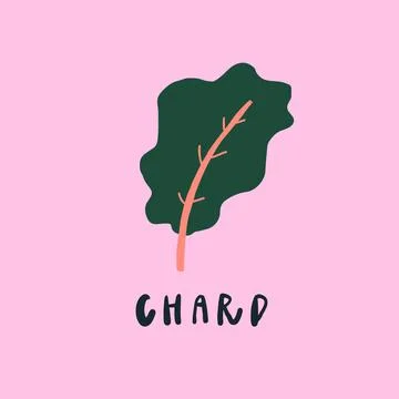 Vector simplified chard drawing, handwritten word Illustrazione stock