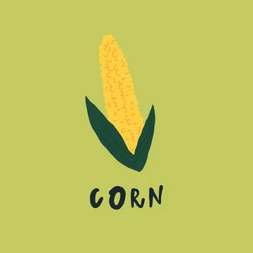 Vector simplified corn drawing, handwritten word Stock Illustration
