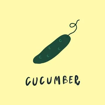 Vector simplified cucumber drawing, handwritten word Stock Illustration